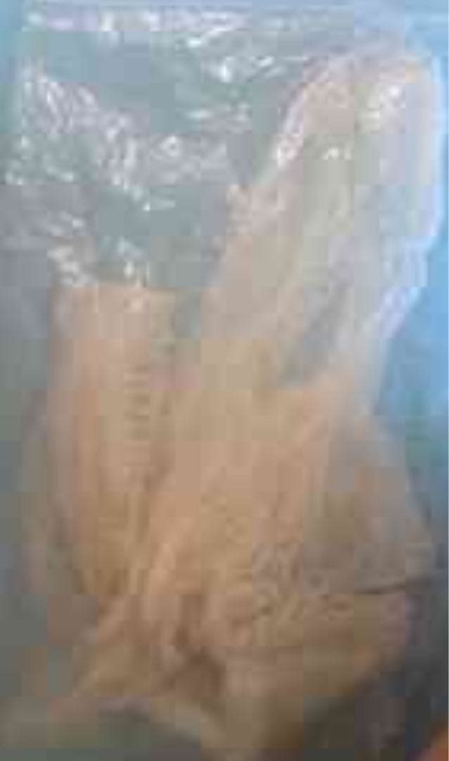 白蛇の脱皮殻 金運・財運のお守り