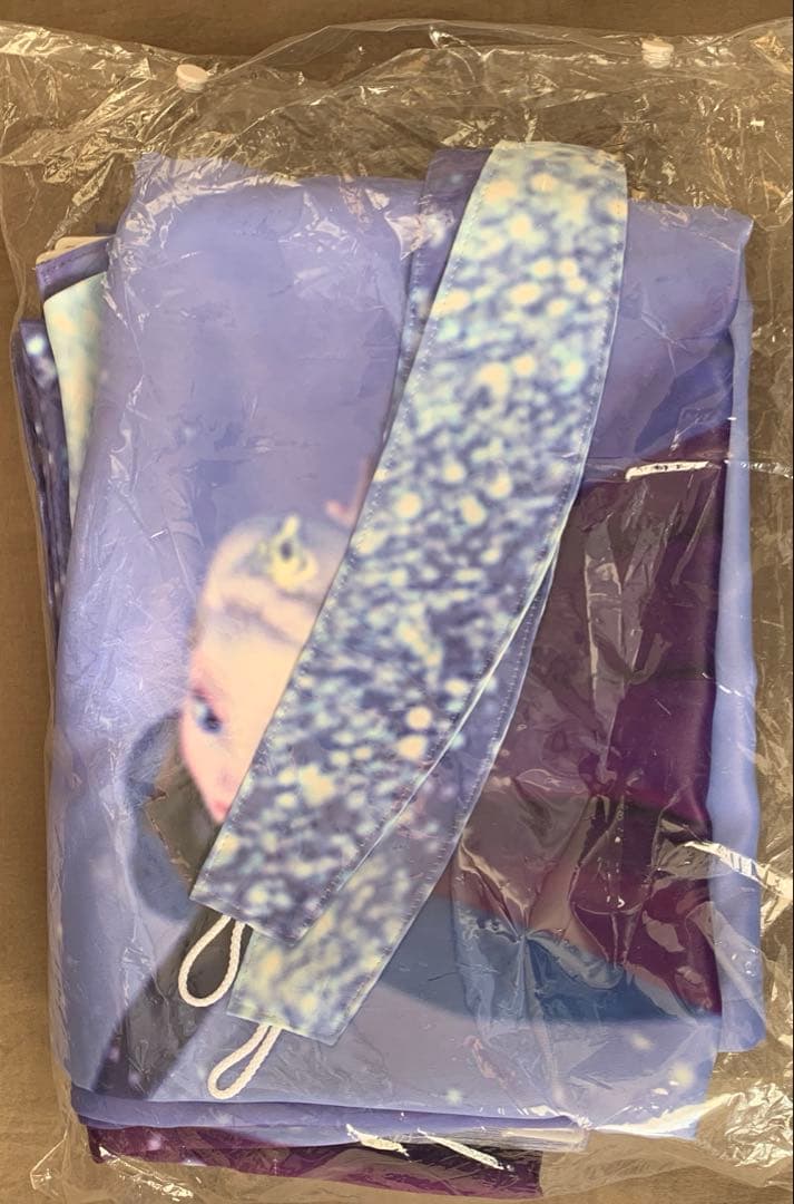 [1904]アナと雪の女王　１枚の絵のようなオーダーフラットカーテン