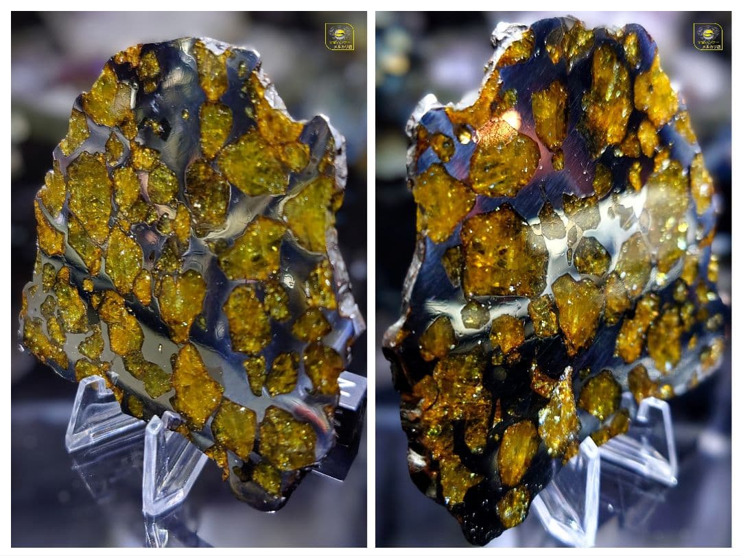 ★51.38g イミラック パラサイト 隕石 Imilac⭐⭐⭐