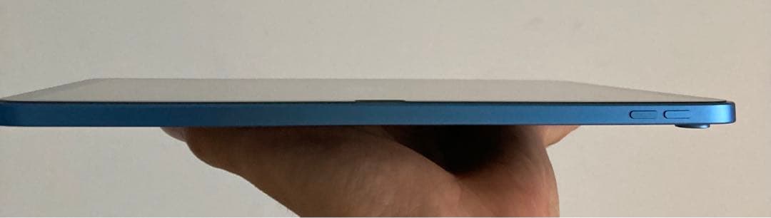 iPad(第10世代)256g 100%