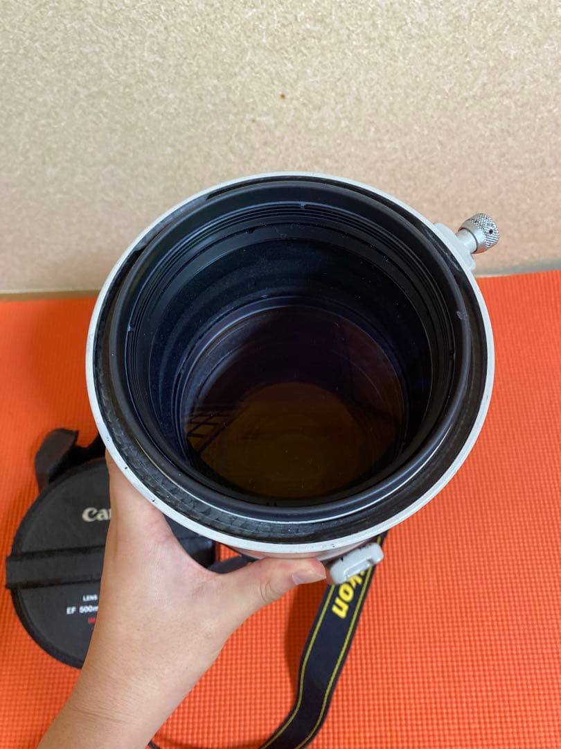 Canon 単焦点超望遠レンズ EF500mm F4L IS USM