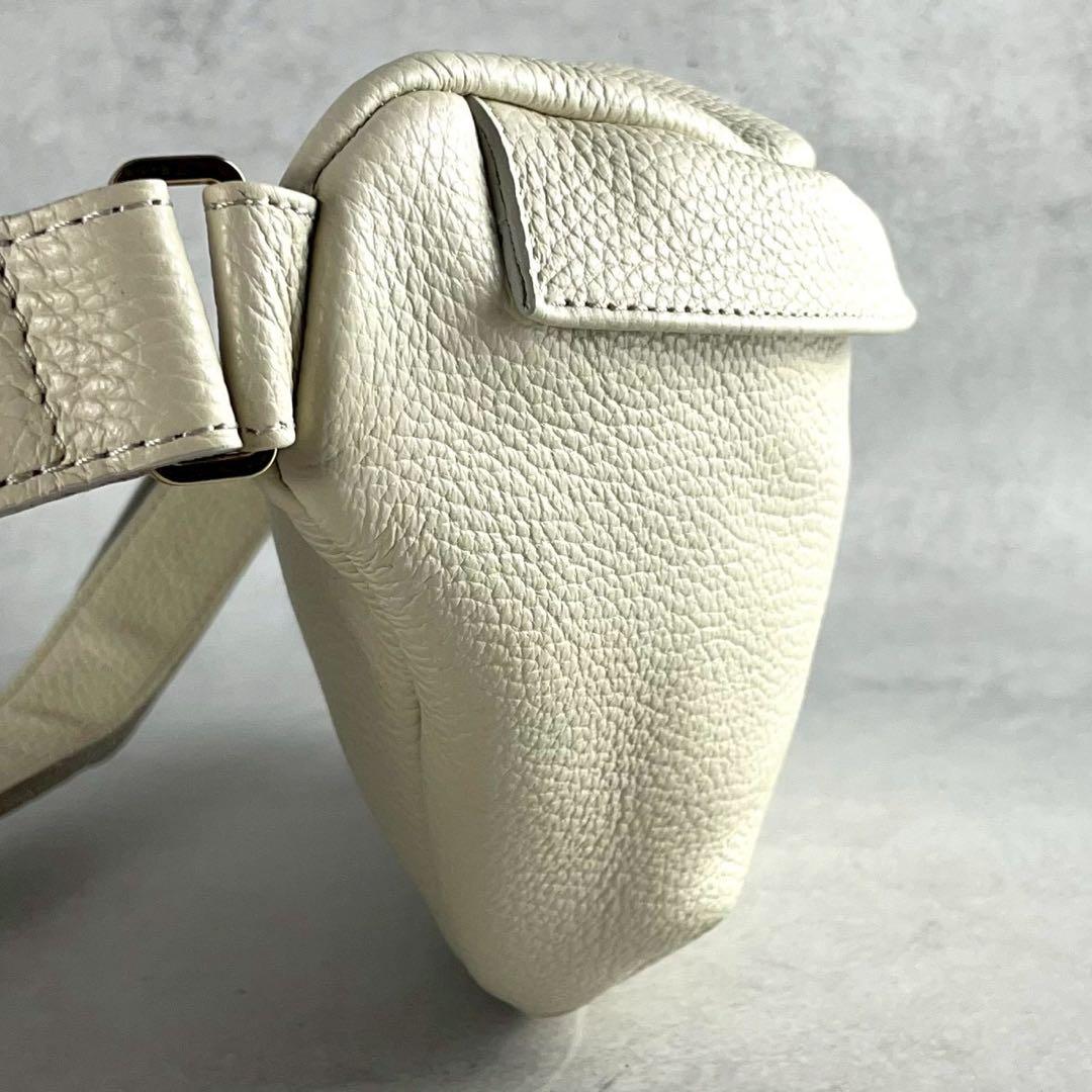 【極美品】ヴィオラドーロ ボディバッグ シボ革 ゴールド金具 金文字ロゴ 保存袋