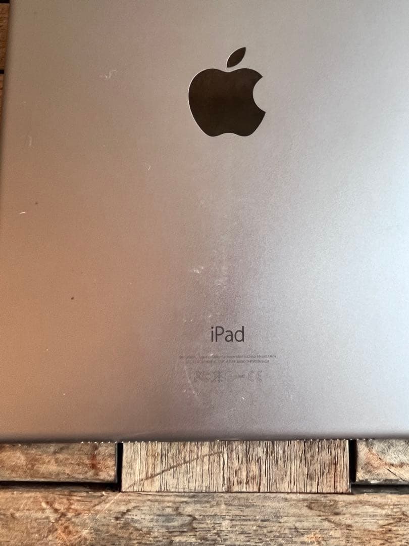 Apple iPad Pro (9.7インチ) 本体