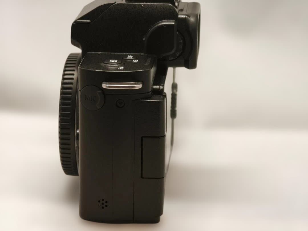 デジタルカメラ Panasonic LUMIX DC-G100