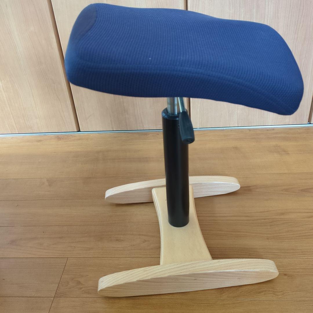 Balans Synergy バランスシナジー　スクエアシート　専用カバー付腰痛