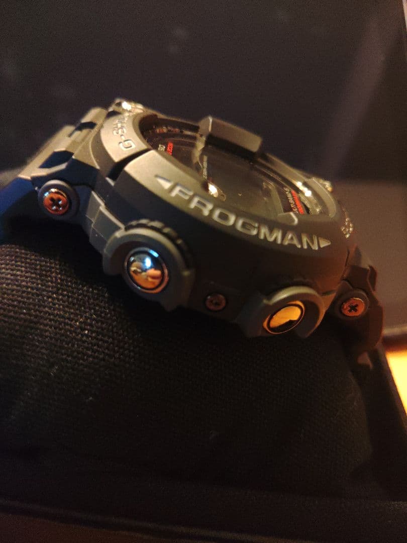 フロッグマン　GWF-1000　FROGMAN