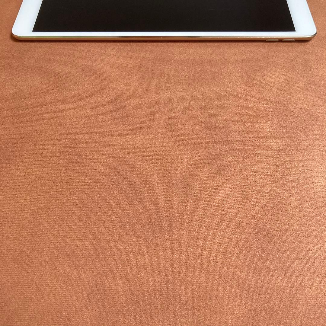 50【早い者勝ち】iPad Pro 256GB 10.5インチ WIFIモデル☆