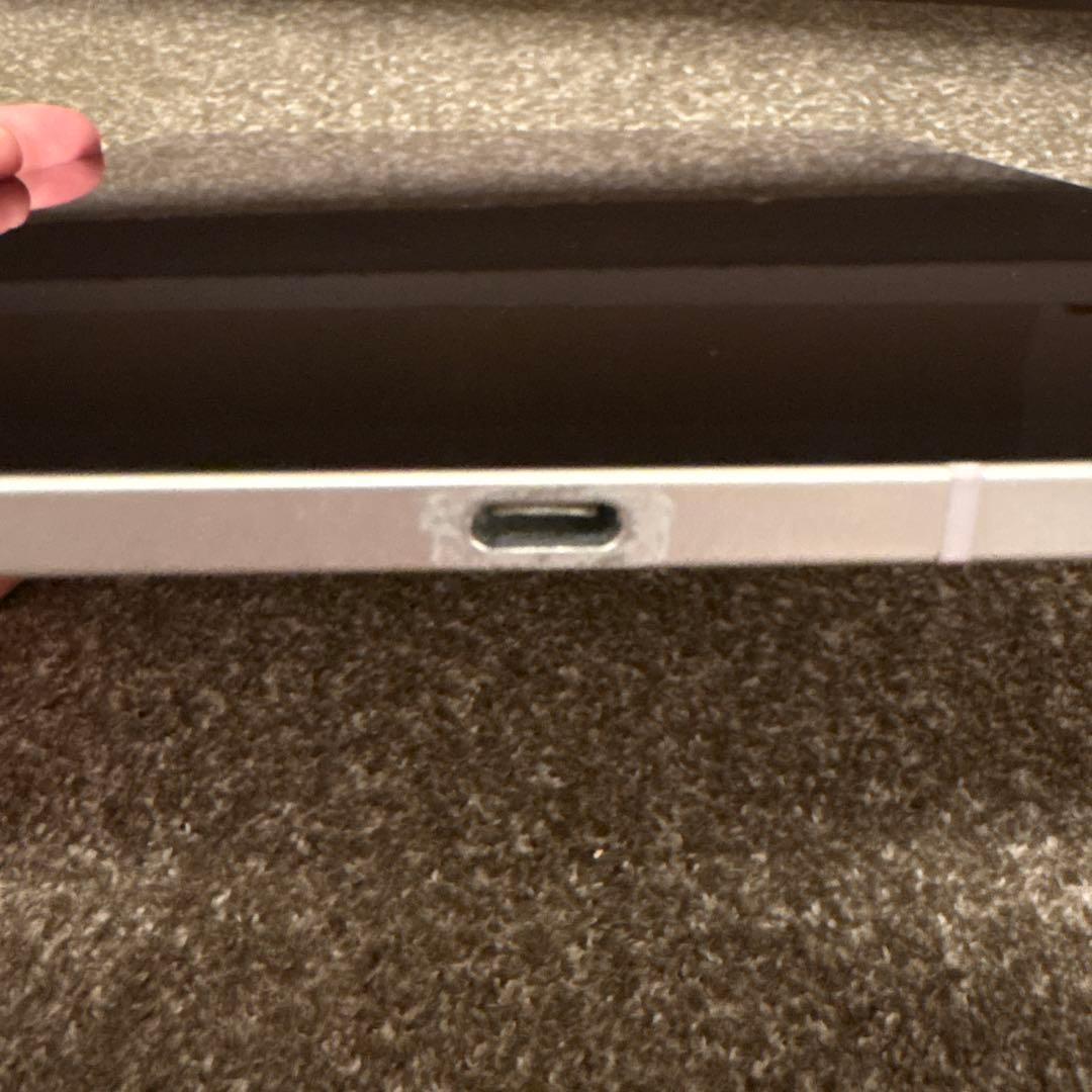 【ジャンク】iPad Pro 11 第1世代 64GB セルラー