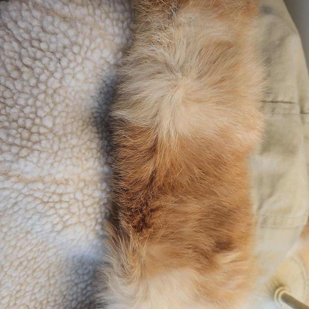 ♡ Balcony and Bed コート♡