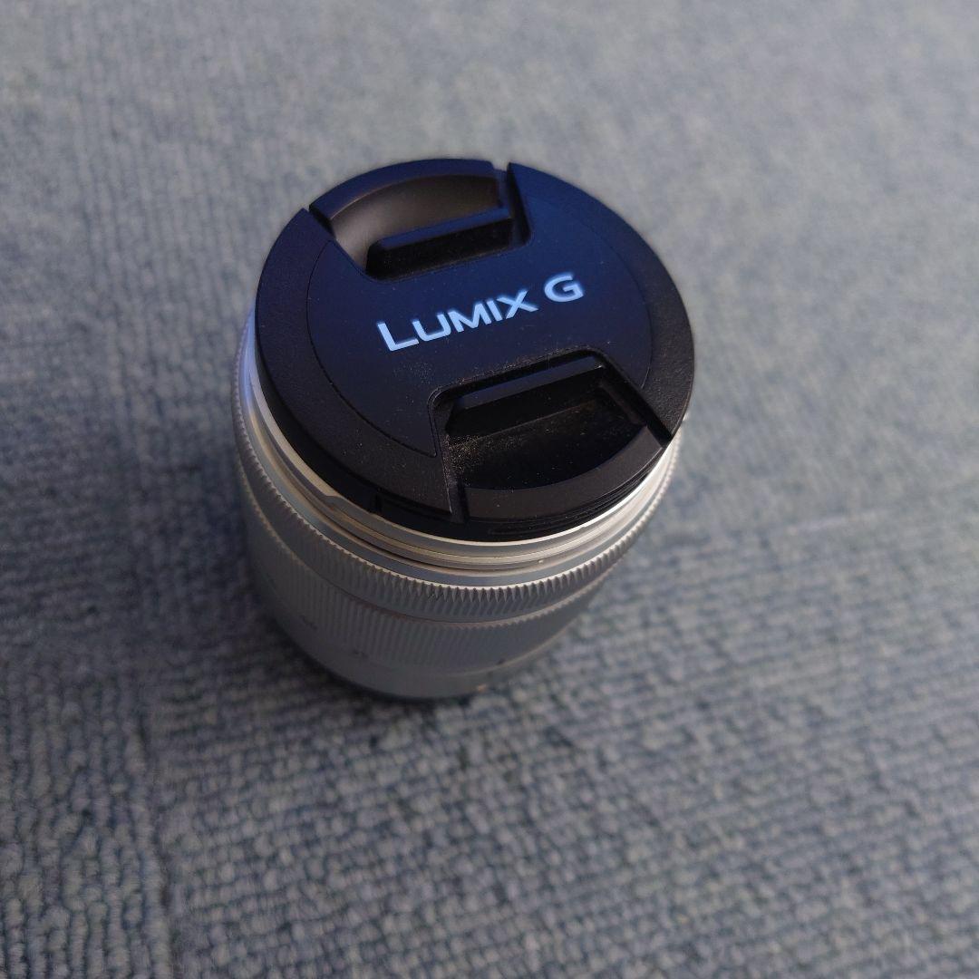 ルミックス　panasonic G　35-100