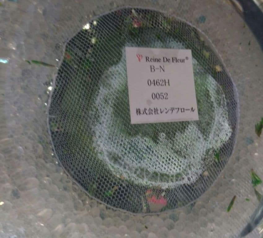 プリザーブドフラワー　バラ　11本　レンデフロール