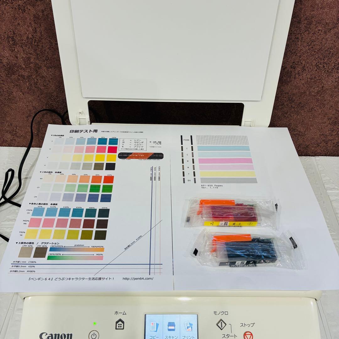 Canon PIXUS TS6030 キヤノン　使用枚数少　インク激安