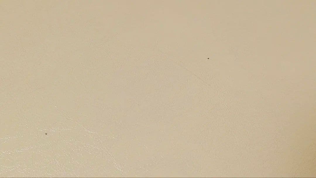 【高田ベッド製作所】粉体ムーヴ(有孔) 高級マッサージベッド折りたたみ 中古品