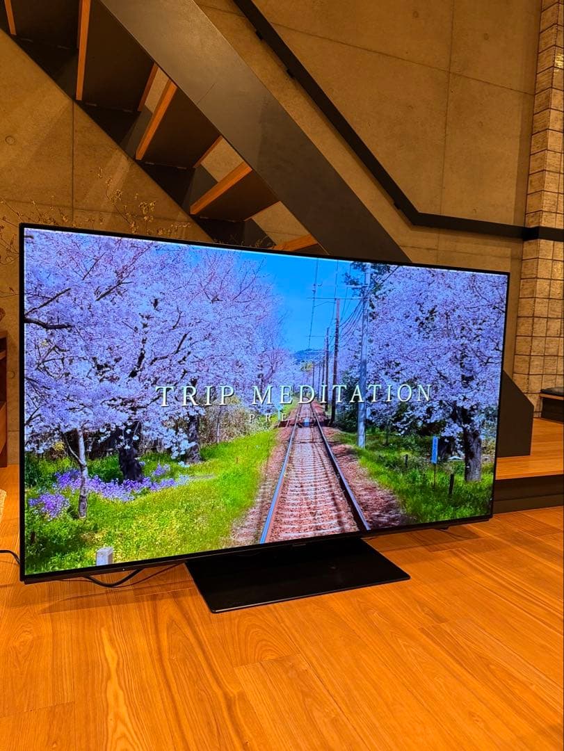 【かいじゅうぶーうごん様】Panasonic 2019年製 TH-55FZ950