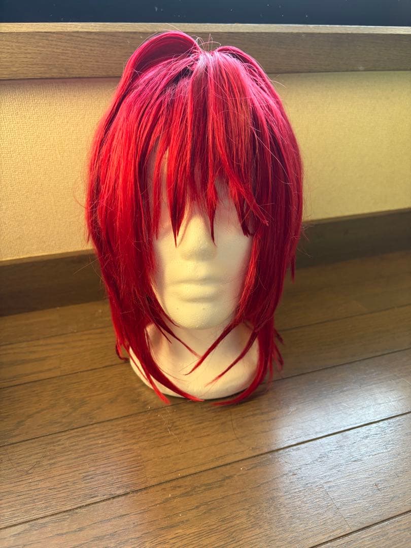 アンジュカトリーナ コスプレ 衣装 ウィッグ にじさんじ