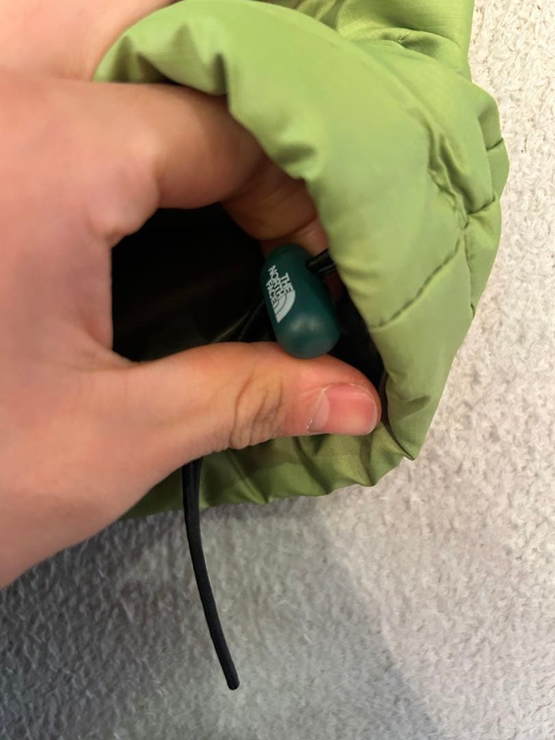 希少 patagonia パタゴニア ダウンセーター グリーン