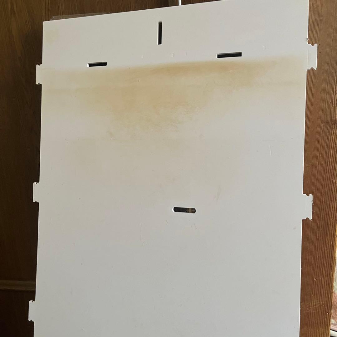 アクリルケージ　フクロモモンガ　冬には値上げします。