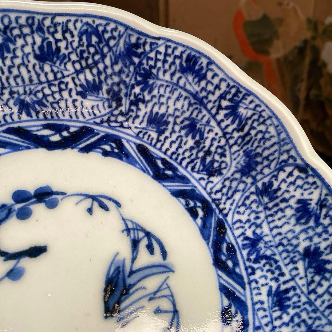 A929 古伊万里　染付　微塵唐草　萩唐草　輪花型中皿　浅鉢　　5枚