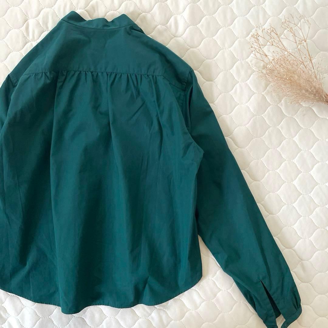 【極美品】定価7.3万✴︎ブリエンヌパリディス コットンフリルカラーブラウス