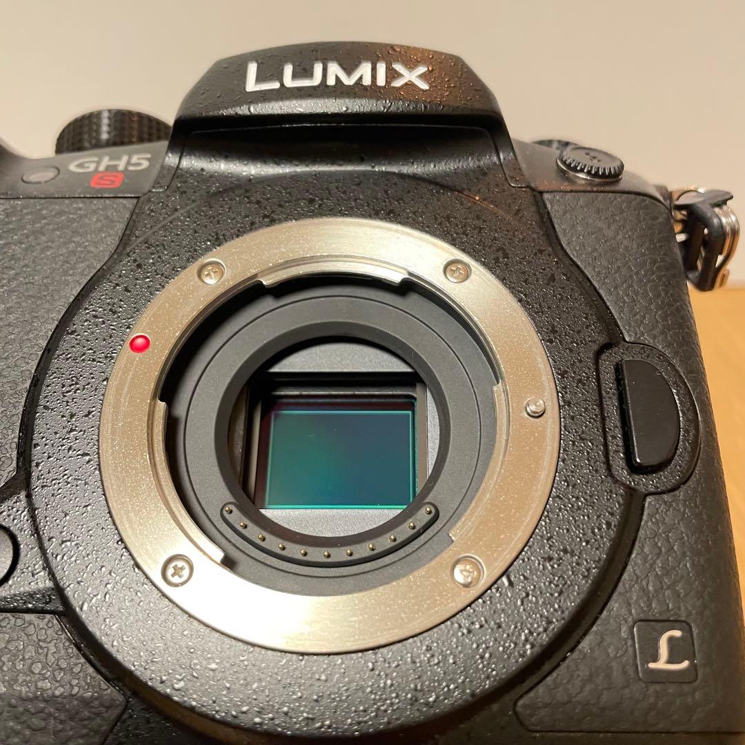 専用　　LUMIX DC-GH5S