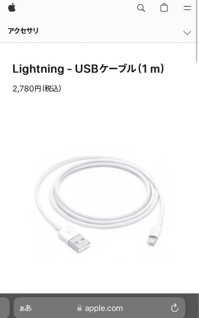 Apple製AirPods Pro 第1世代 動作確認済｜傷ありA