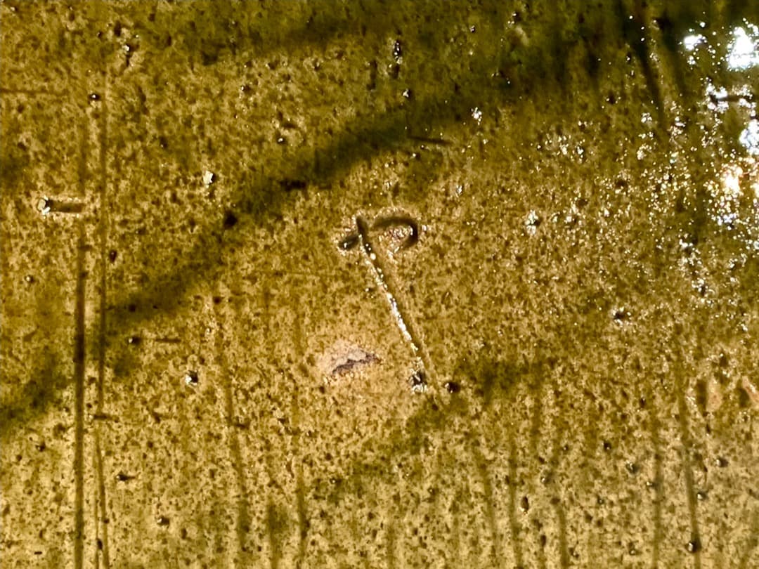 214【玉置保夫　保夫窯】長方皿　志野　織部　食器　台所　共箱