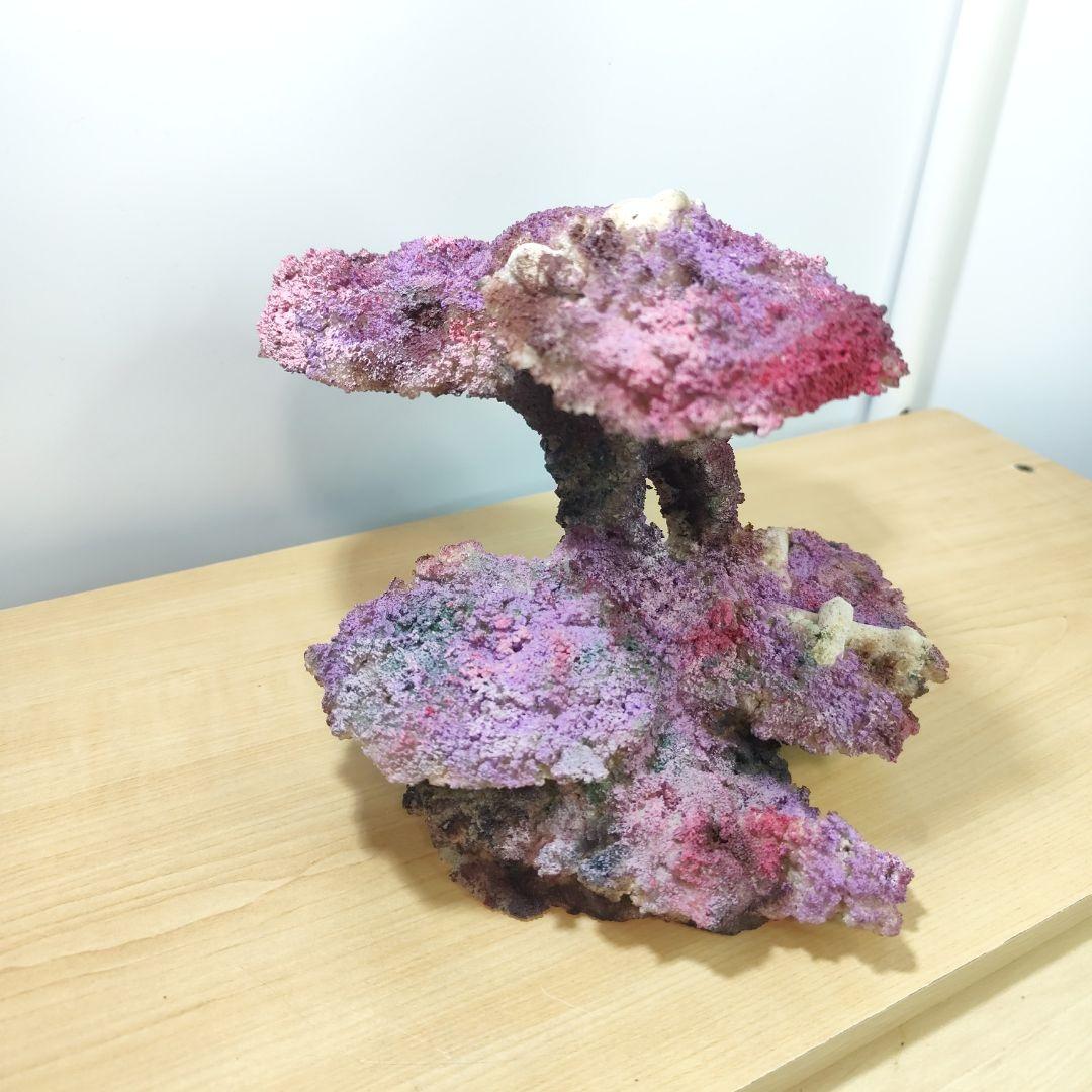 ✏新品アク抜き不要 人工ライブロック レプリカ 30cmキューブ以上海水水槽用2