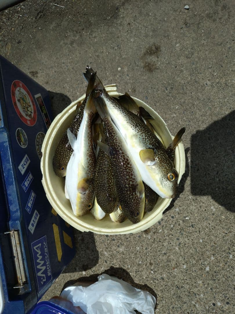 ★専用です★湾SHIMANO BAYGAME 船竿 180cm CI4+