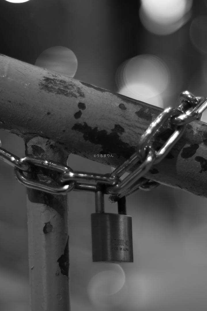 無色透明訳あり！PENTAX Super-Takumar 55mm f1.8