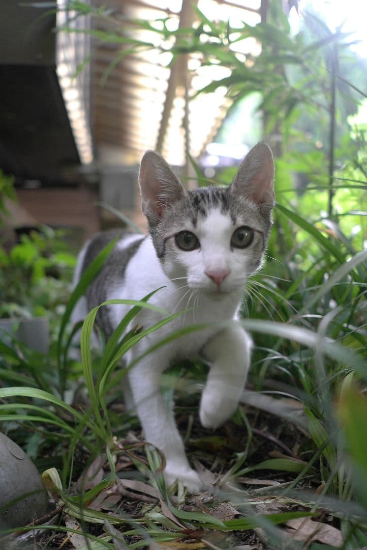 J*M様 Leica X1 ブラック