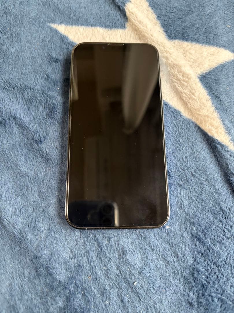 ひかりさん専用　Apple iPhone 13 Pro