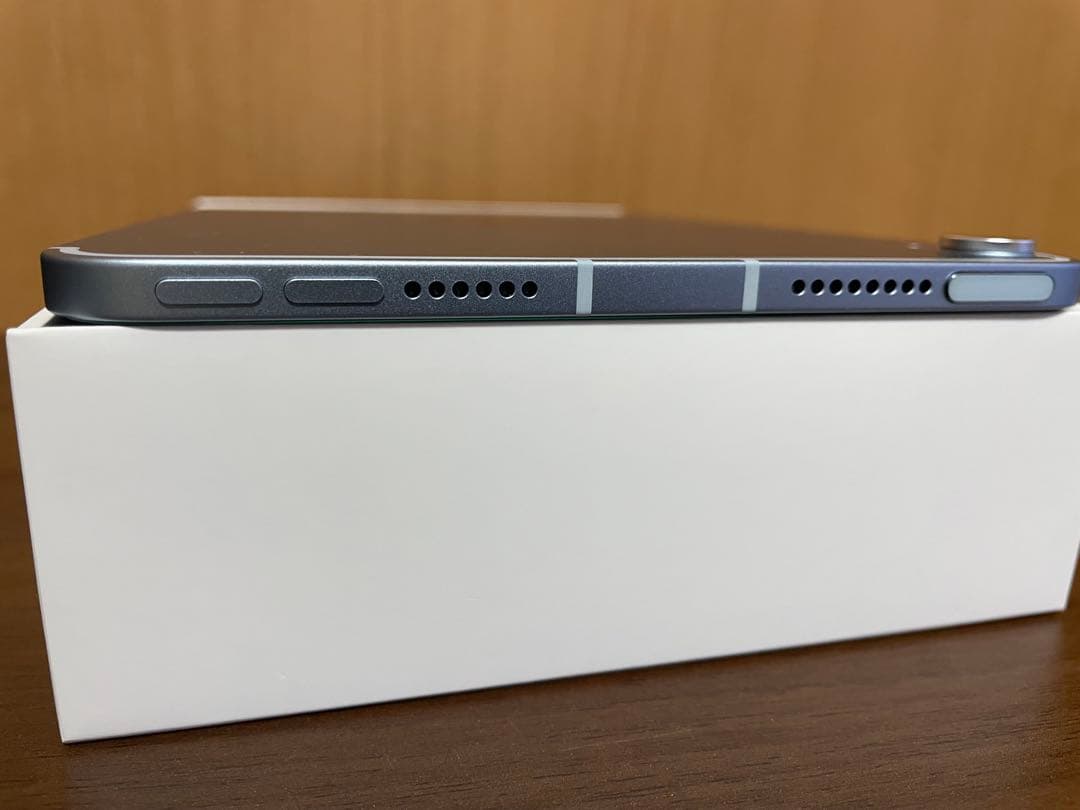 極美品iPad mini (第7世代) 256 Wi-Fi + Cellular