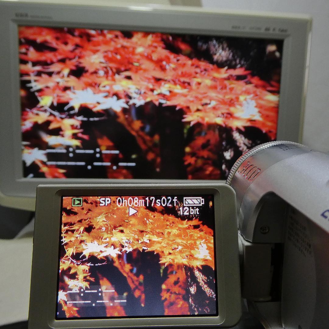 動作良好 パナソニック NV-GS150 MiniDVビデオカメラDVD化に最適