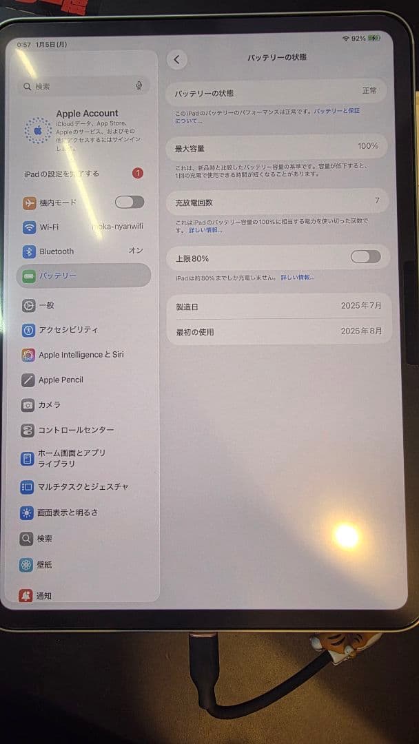 iPad Pro M4 1TB nano texture 11インチ　シルバー