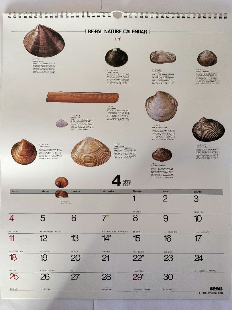 BE-PAL ビーパル カレンダー 新品未使用 1993年 ヴィンテージ