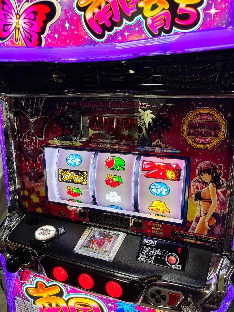 macyukiさま専用南国育ち☆カウンターなし、出力付き遊技可能ユニット付