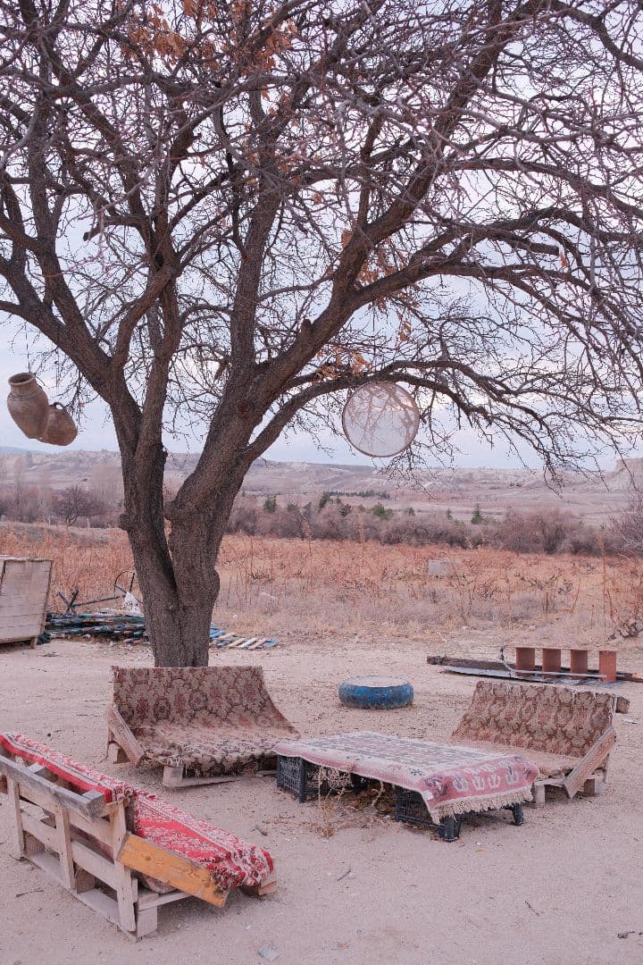 FUJIFILM X-T50 bodyのみ