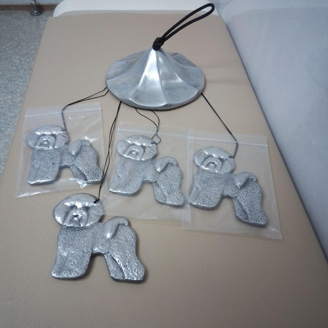 ウインドベル　ビションフリーゼ　希少