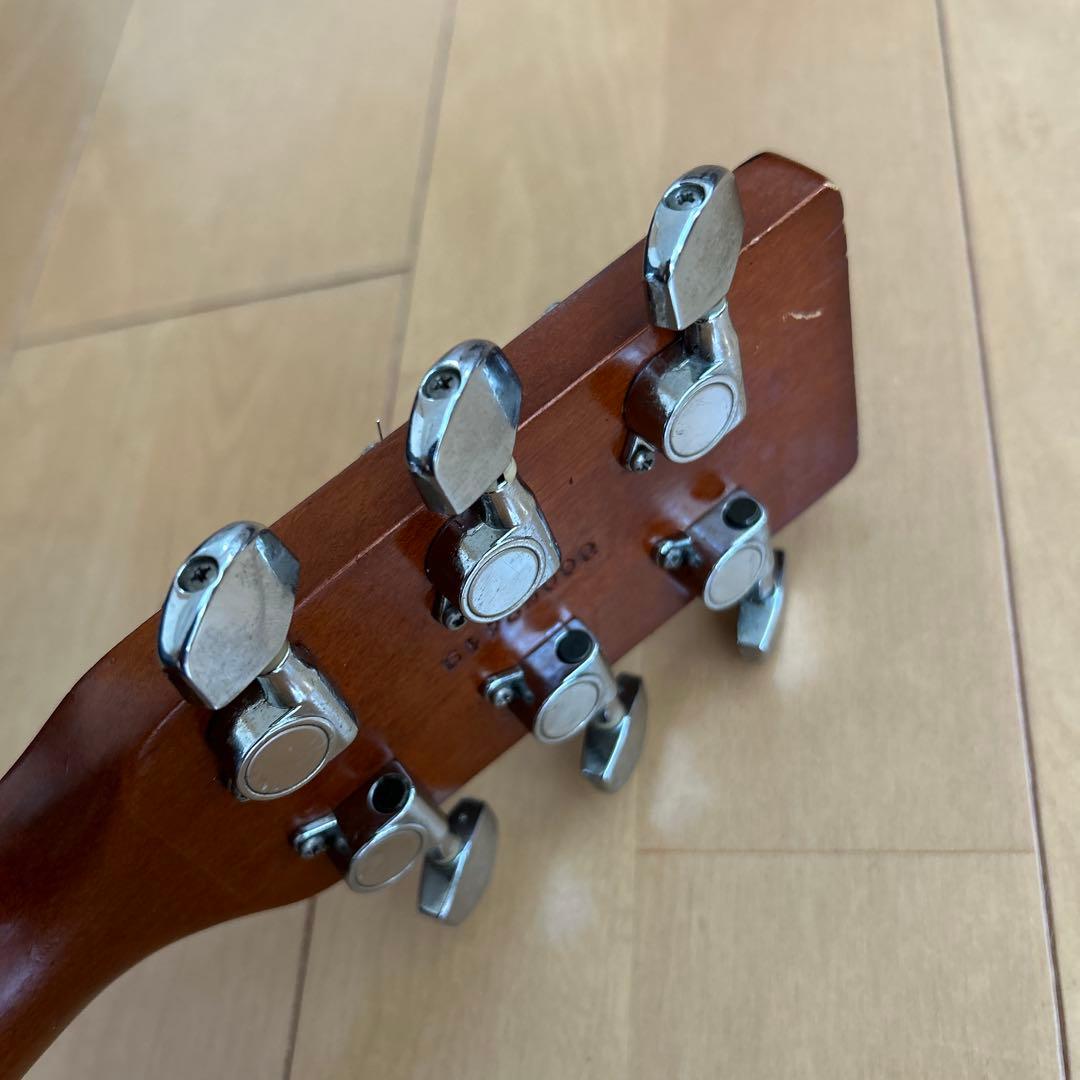 サイモン&パトリック モデル S&P6 シダー トップ単板