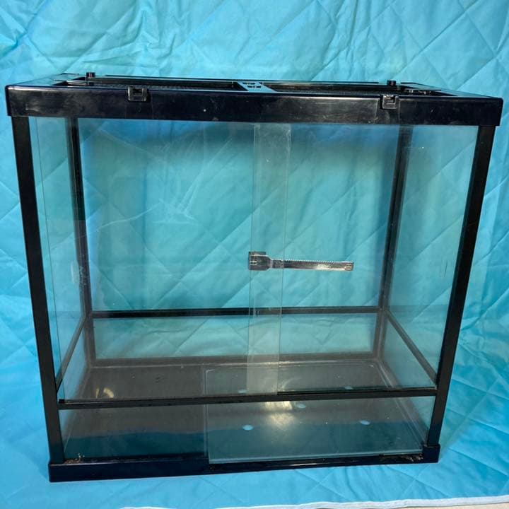 爬虫類　ゲージなど全てセット