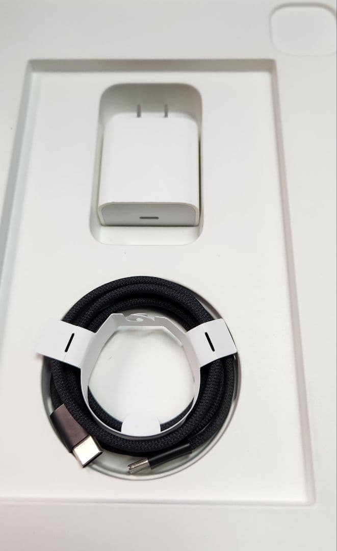 美品　M4 iPad Pro 11インチ (256GB, Wi-Fi)