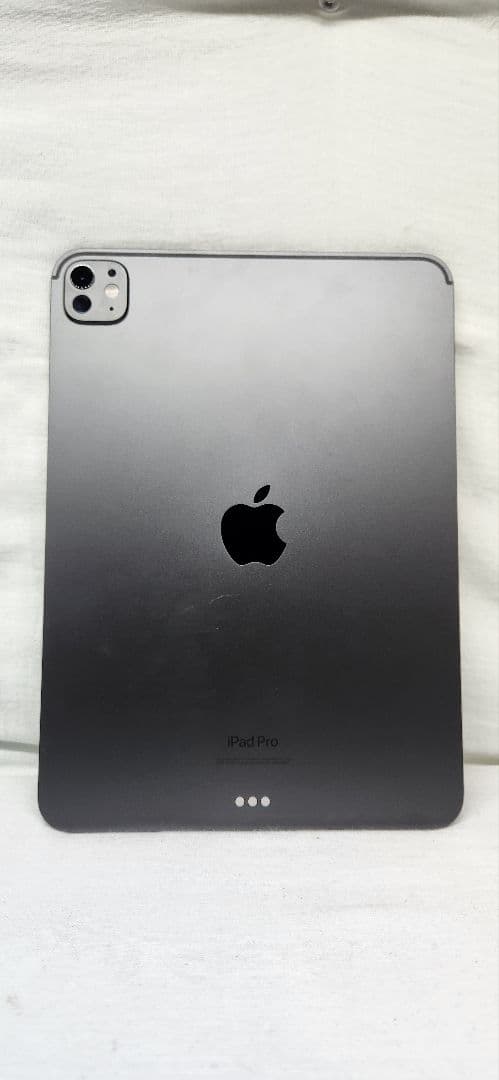 美品　M4 iPad Pro 11インチ (256GB, Wi-Fi)