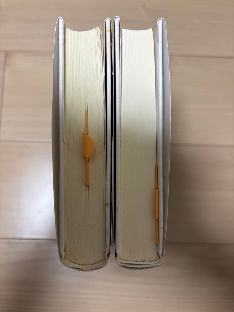 デリダ『絵葉書』Ⅰ・Ⅱ 2冊セット