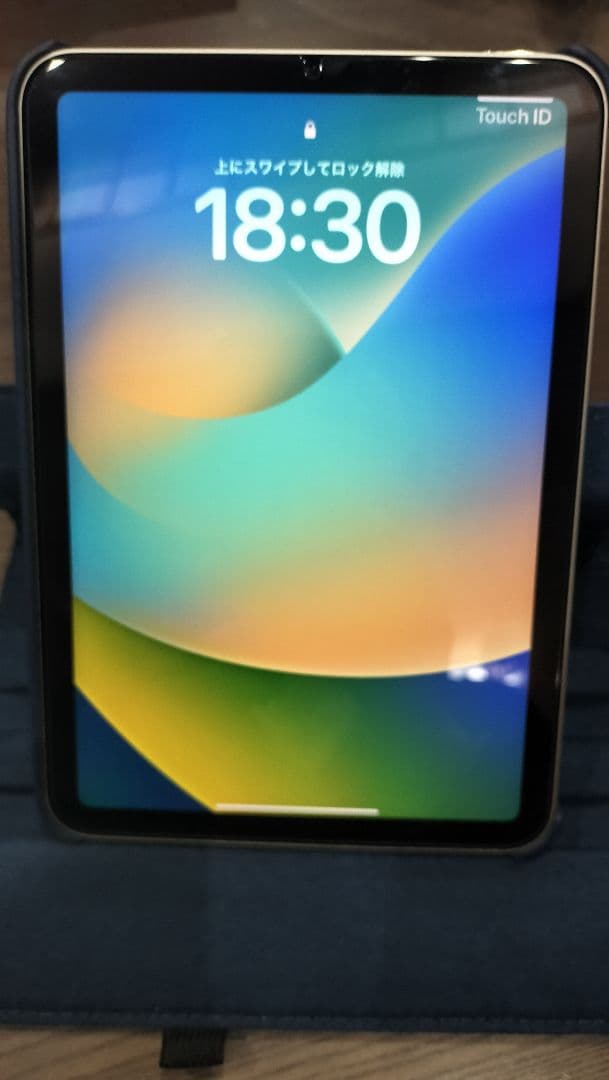 iPad mini (第6世代) スペースグレー 本体 バッテリー100%