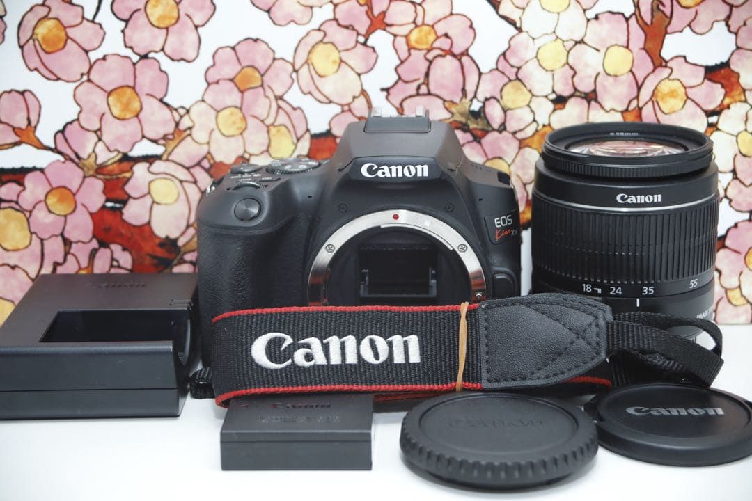 ❤️極上美品❤️キヤノン EOS kiss X10 レンズセット❤