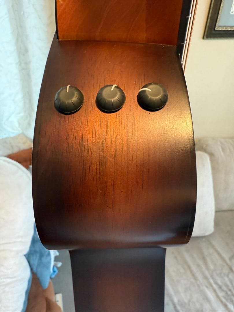Taylor GS Mini Koa plus (2024年製)