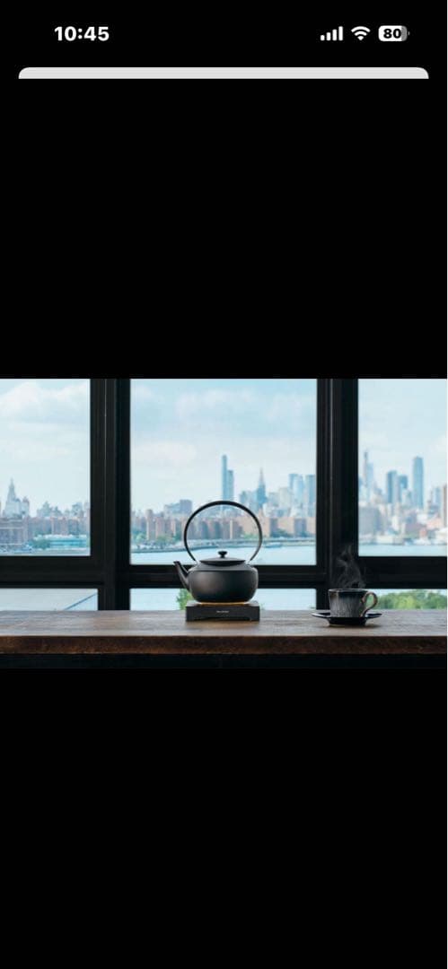 新品未開封　BALMUDA ムーンケトル バルミューダ KPT02JP-BK