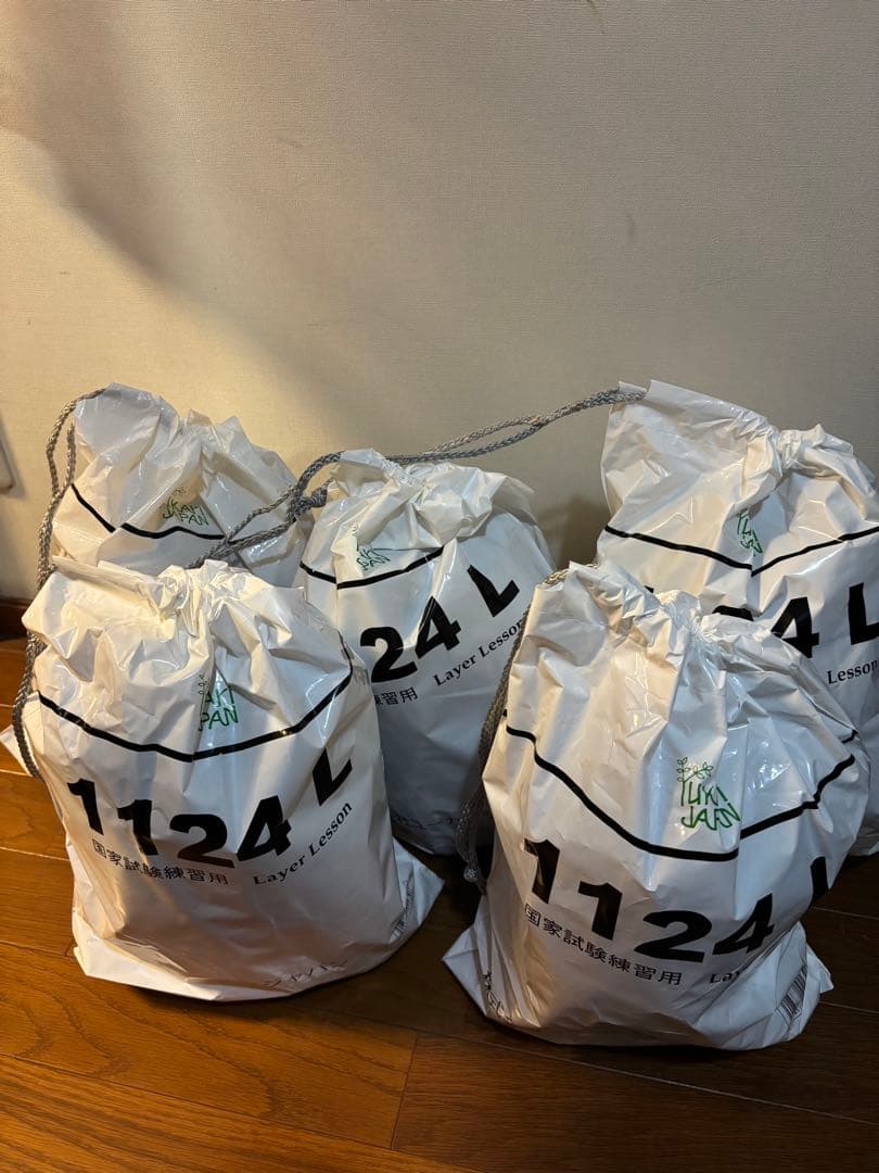 新品 国家試験練習用ウィッグ 1124L