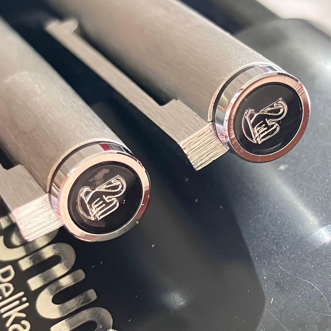 Pelikan ペリカン 万年筆 シグナム ２本セット