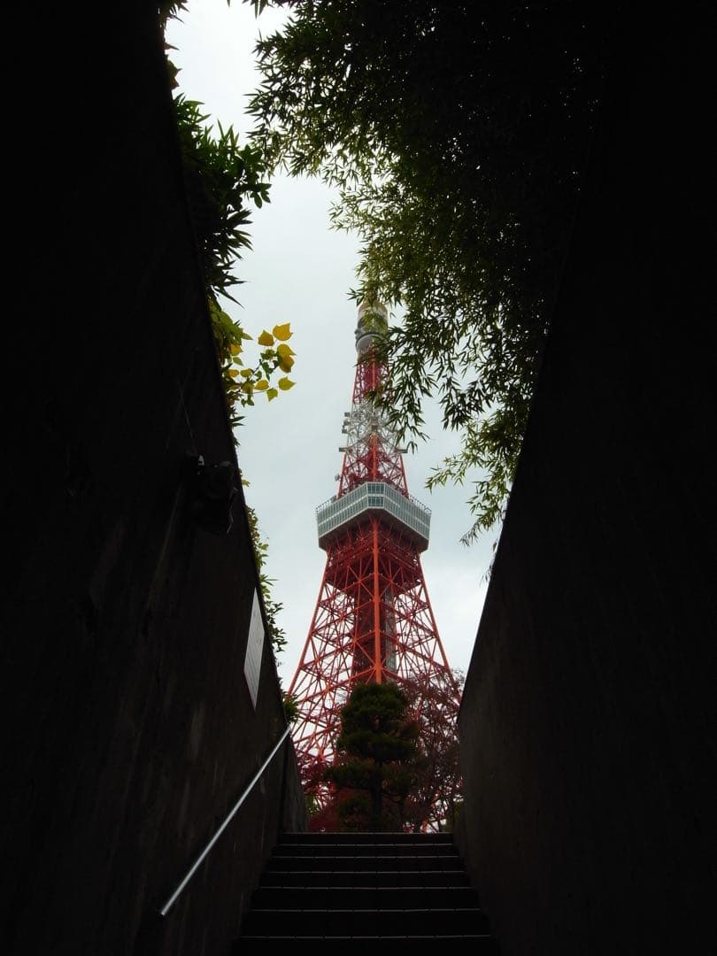 RICOH GX200 リコー ズーム機 CCDコンデジ